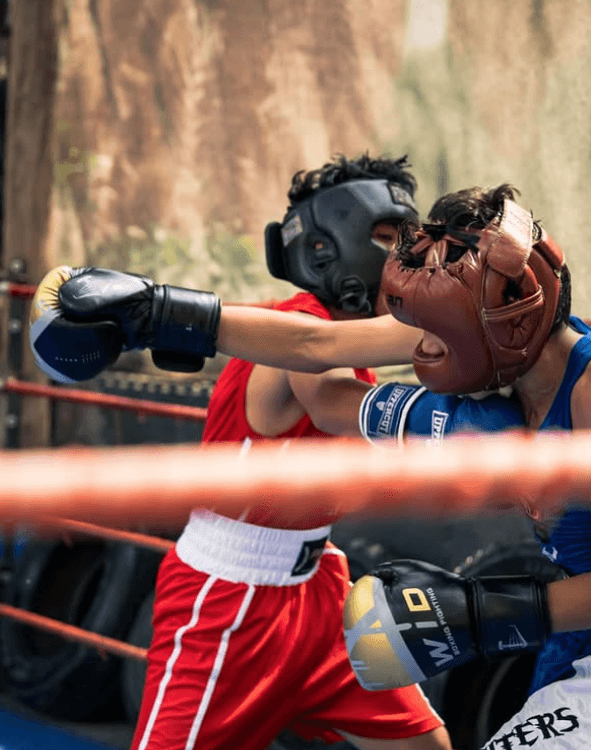 Joe Palooka Boxing