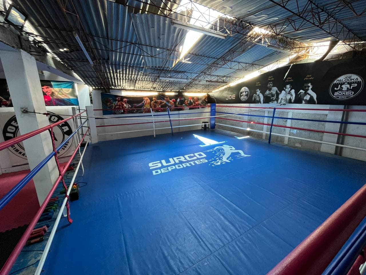 Ring Oficial
